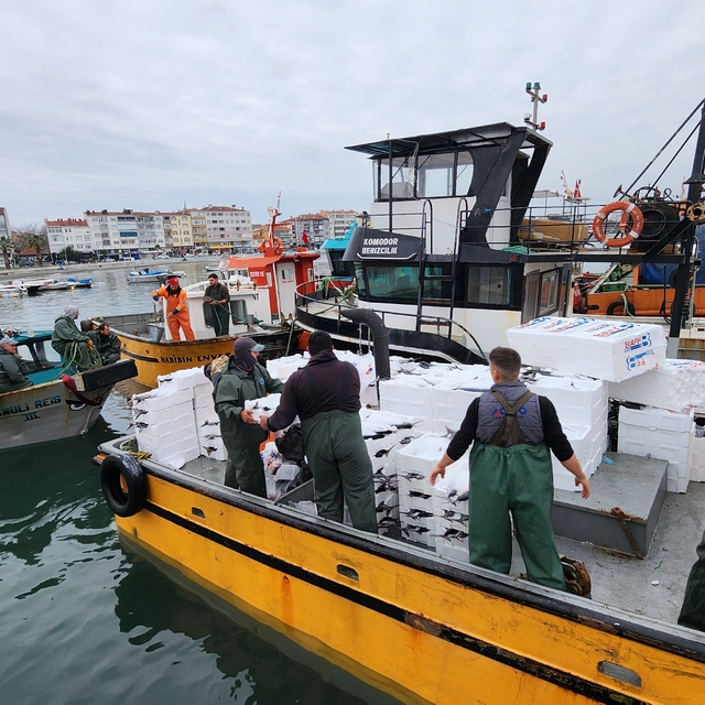 Tekirdağ açıklarında torik bereketi