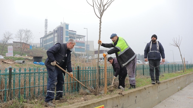 Edirne'den kısa kısa