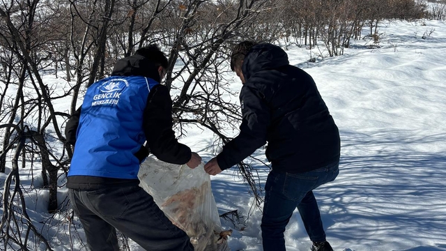 Bingöl'de yaban hayvanları için doğaya yem bırakıldı