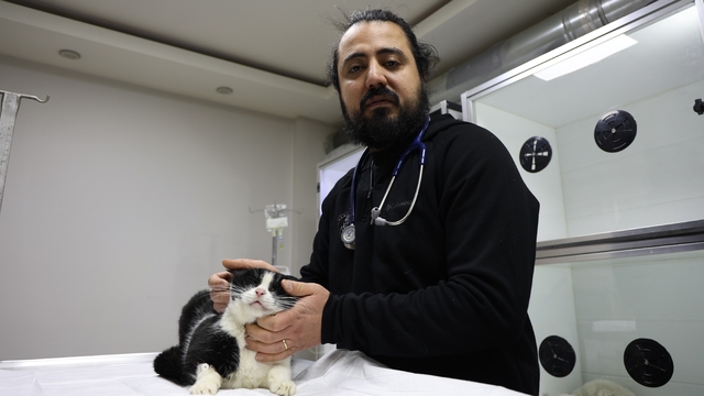 Veterinerler yangında yaralanan 11 kedinin gönüllü tedavisini üstlendi
Yoğun bakımda tedavileri süren kedileri iyileştikten sonra hayvanseverlerin sahiplenmesi bekleniyor