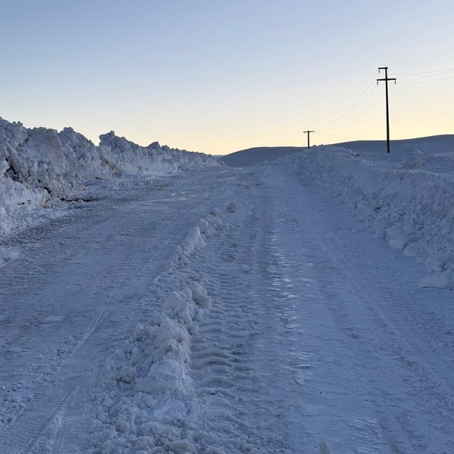 Bitlis'te kardan kapanan köy yolları yeniden açılıyor