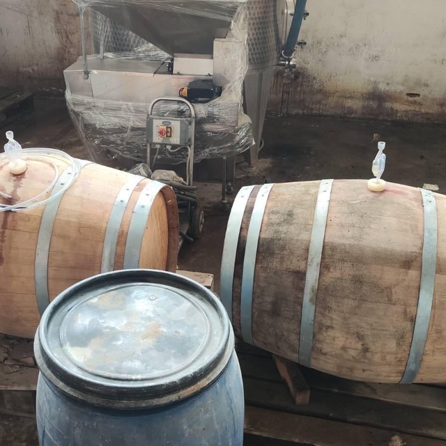 Bursa'da 800 litre kaçak şarap ele geçirildi