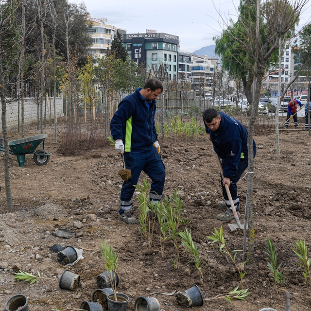 İzmir'de atıl alanlar mini ormana dönüşüyor