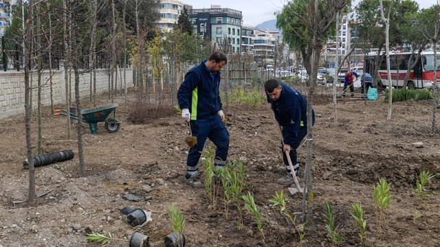 İzmir'de atıl alanlar mini ormana dönüşüyor
