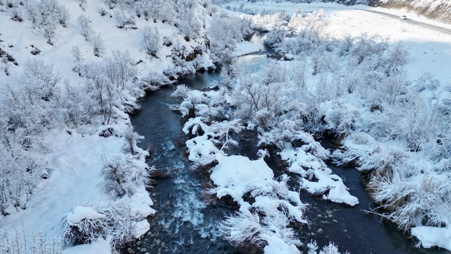 Şırnak'ta beyaza bürünen dağ ve ağaçlar göz kamaştırdı
