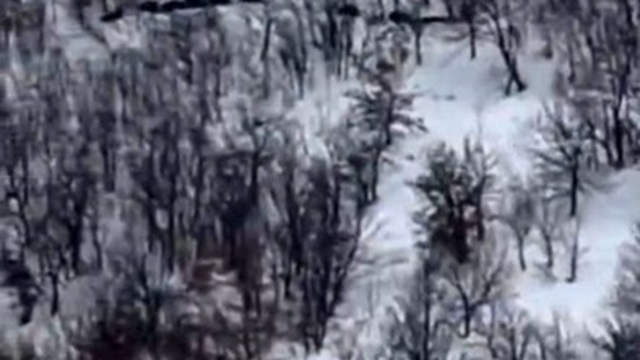 Elazığ'da domuz sürüsünü 'ordu geliyor' diye kayda aldı