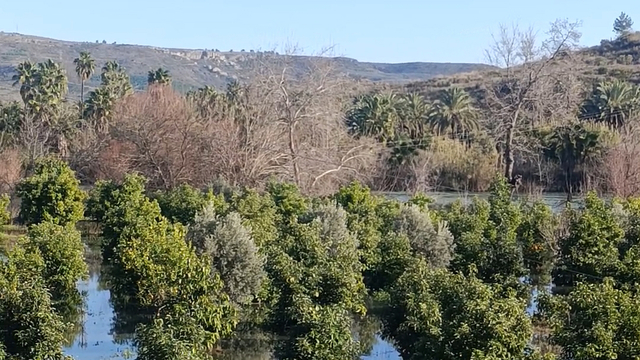 Irmak taştı, şantiye ile narenciye bahçelerini su bastı