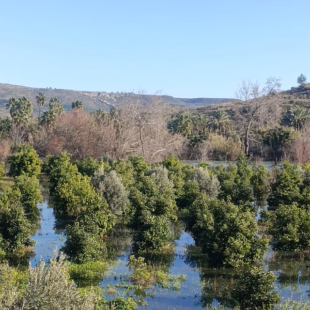 Irmak taştı, şantiye ile narenciye bahçelerini su bastı