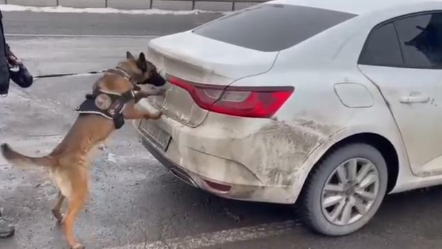 Otomobildeki uyuşturucuyu Hera buldu; 2 şüpheli tutuklandı
