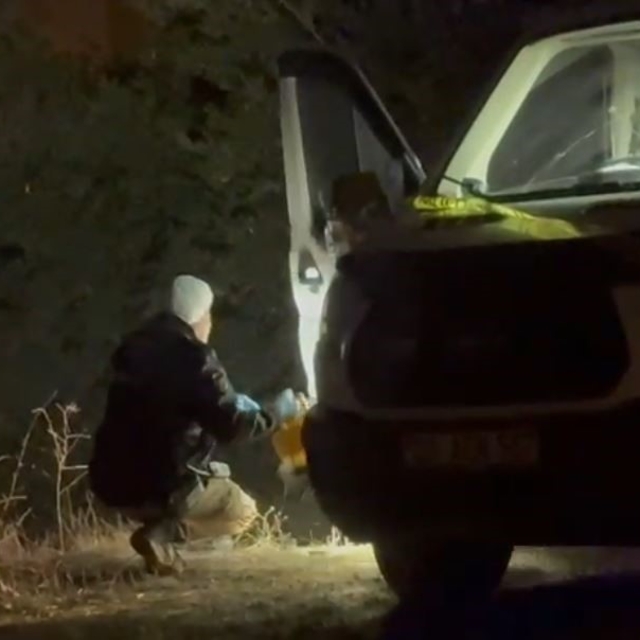 Bıçaklı cinayetin faili yakalandı