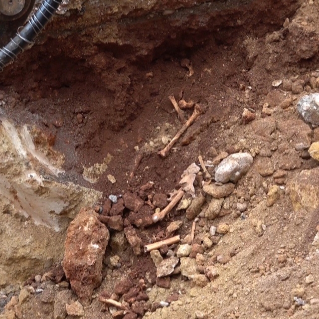 Antalya'da belediye kazısında kemik parçaları bulundu