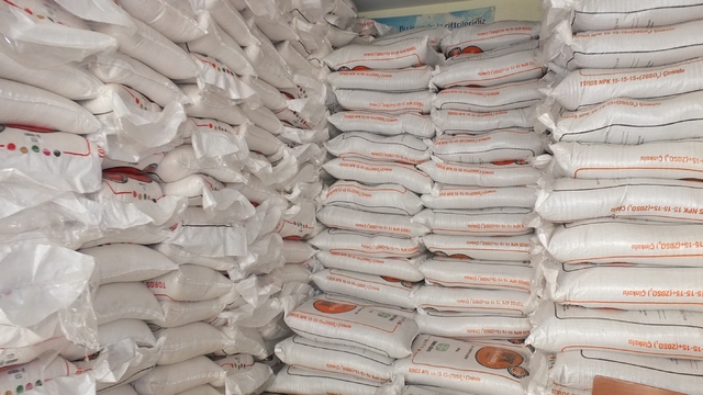 Burhaniye de Yağmurlar yağdı gübre satışları arttı