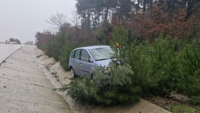 Çanakkale'de yoldan çıkan otomobil ağaca çarptı; 2 kişi yaralandı