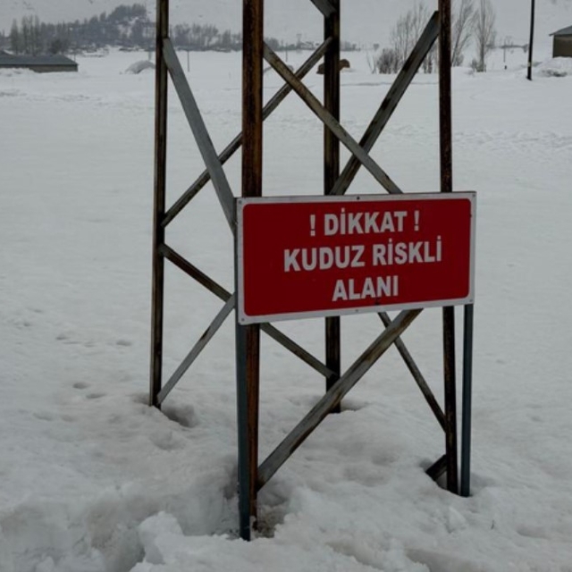 Yüksekova'da kuduz alarmı: Ekiplerin müdahalesiyle durum kontrol altına alı...