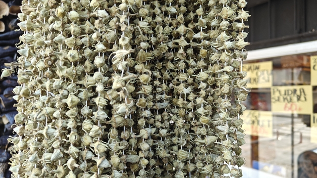 Ramazan'ın gözdesi bamya tezgahlarda