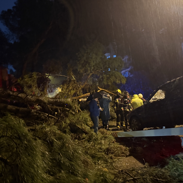 Aydın'da ağacın otomobilin üzerine devrilmesi sonucu 2 kişi yaralandı