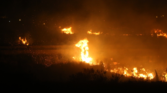 Hatay'da zeytinlik alanda çıkan yangın kontrol altına alındı