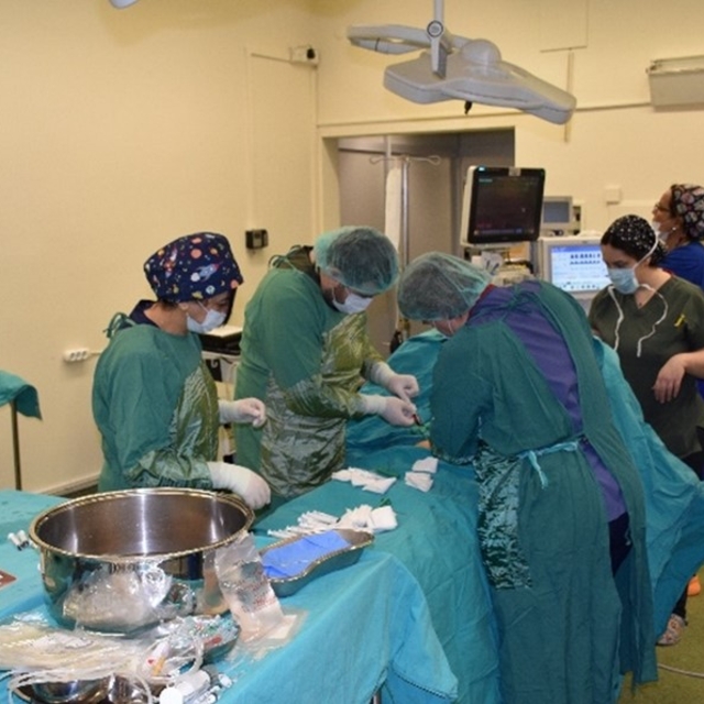 ESOGÜ Hastanesi, kemik iliği nakli ile hastalara umut olmayı sürdürüyor
İlk...