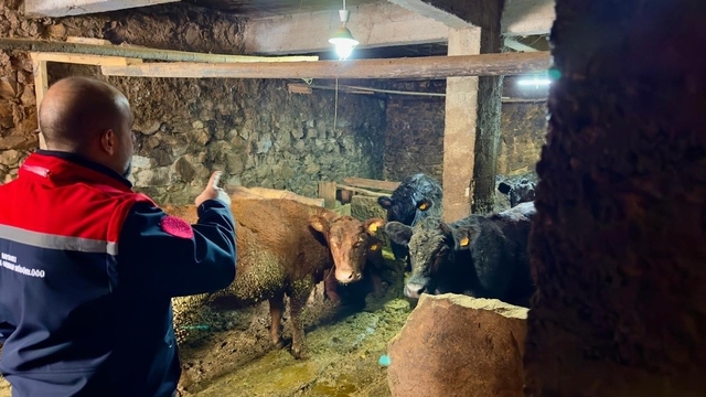 Aydıntepe'de Kırsalda Bereket Projesi ile üretimler devam ediyor