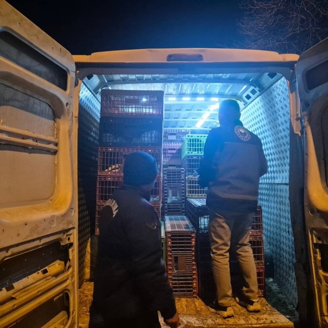 Bilecik'te belgesiz hayvan sevkine 52 bin 720 TL ceza