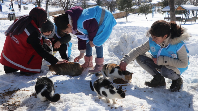 Siirt'te çocuklar "akran zorbalığı"na karşı bilinçlendiriliyor