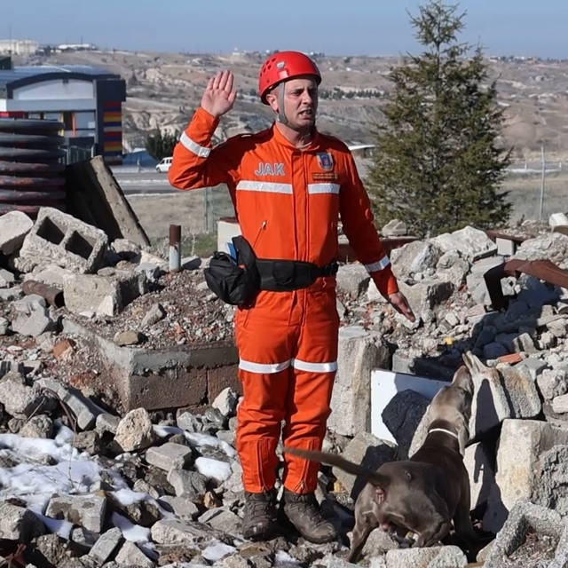 JAKEM'de deprem sonrası umut arayan patiler
Fokus enkazda canlı hayat kurta...