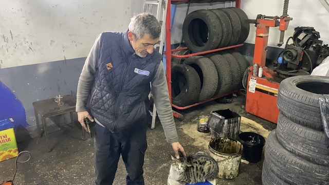 Oto tamircisinin en sadık çırağı "Şıkkıdı" oldu
Sanayi esnafının maskotu haline gelen "Şıkkıdı" arızayı ustasıyla birlikte arıyor