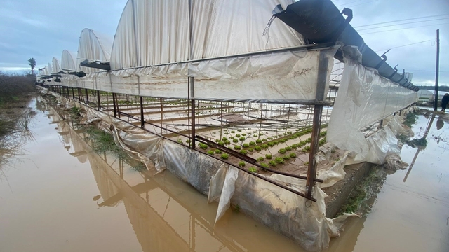 Antalya'da sağanak yağmur Aksu'da su baskınlarına sebep oldu
Yerinden sökülen taş ve çakıllardan evin bahçesi, yollar ve seralar zarar gördü
"20 günde 4 kez sular altında kaldık"