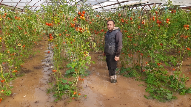 Kumluca'da hortum seraları parçaladı