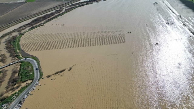 Nif Çayı taştı, Gediz Ovası su altında kaldı