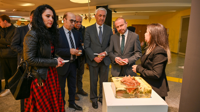 Kastamonu Üniversitesi'nde "Sarsılmaz Bellek: Antakya" Uluslararası Posta Sanatı Sergisi açıldı