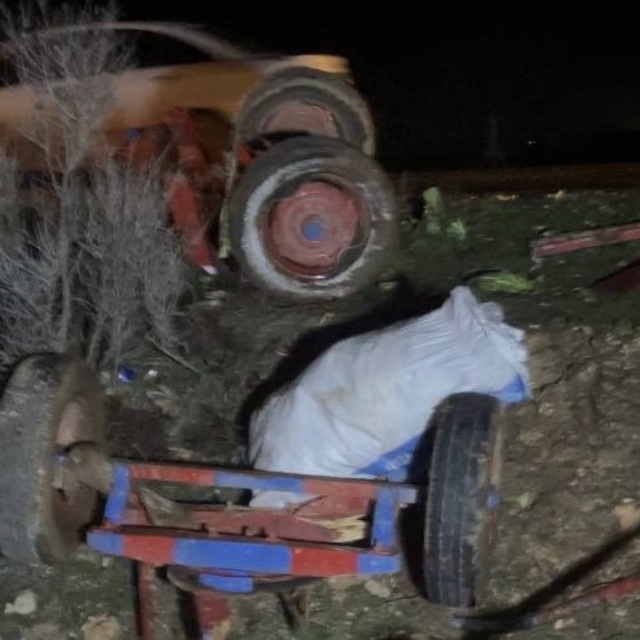 Ceylanpınar'da otomobil, at arabasına çarptı: 2 yaralı