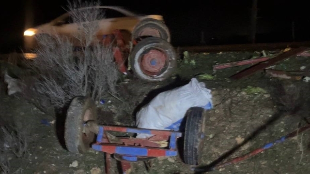 Ceylanpınar'da otomobil, at arabasına çarptı: 2 yaralı