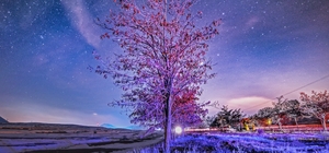 Bitlis'te kış geceleri yıldızlarla buluştu