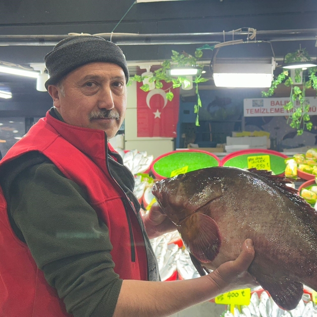 Sivas'ta 7.5 kiloluk orfoz balığı tezgahın ağası oldu