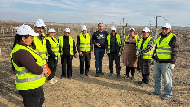 Sarıgöllü ziraat mühendisi Azerbaycan'da bağ budama tekniklerini öğretti