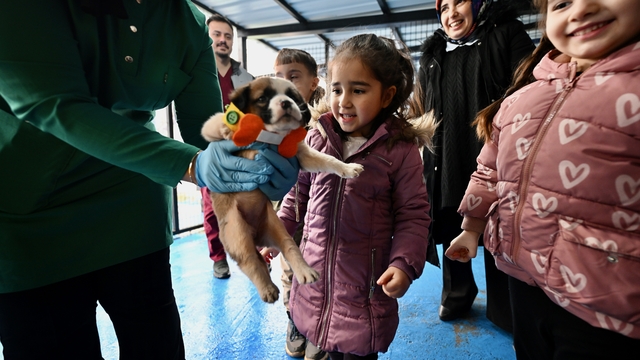 Çocuklar "can dostlar" sayesinde dijital bağımlılıktan uzaklaşıyor