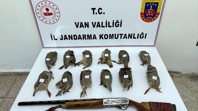 Van'da keklik avlayan kişiye 81 bin TL ceza