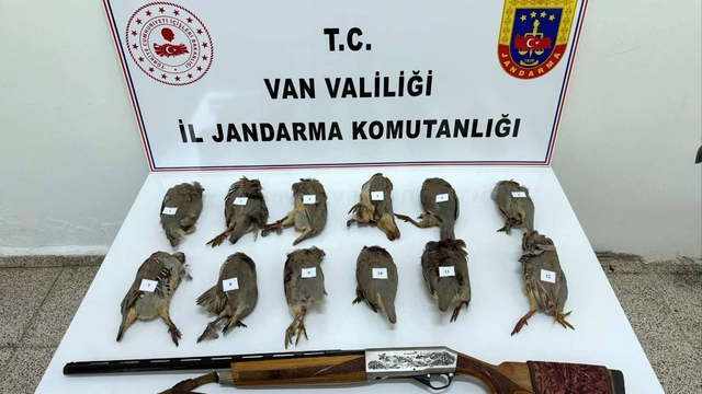 Durdurulan araçta ruhsatsız av tüfeği ile vurulmuş 12 kınalı keklik ele geçirildi