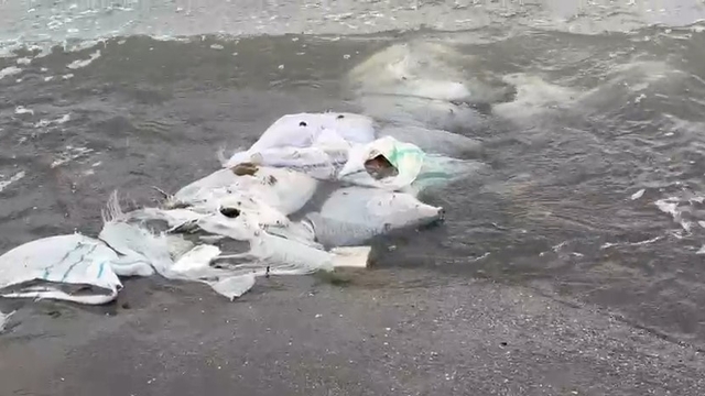 Samsun'da denizde çuvallar içinde inşaat malzemesi bulundu