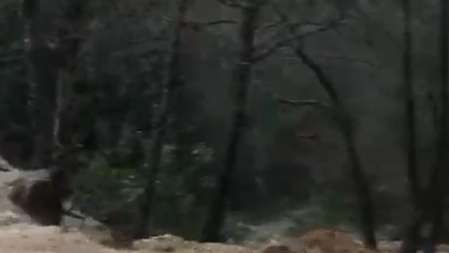 Alanya'da sağanak sonrası su taşkını köprüde zarara neden oldu