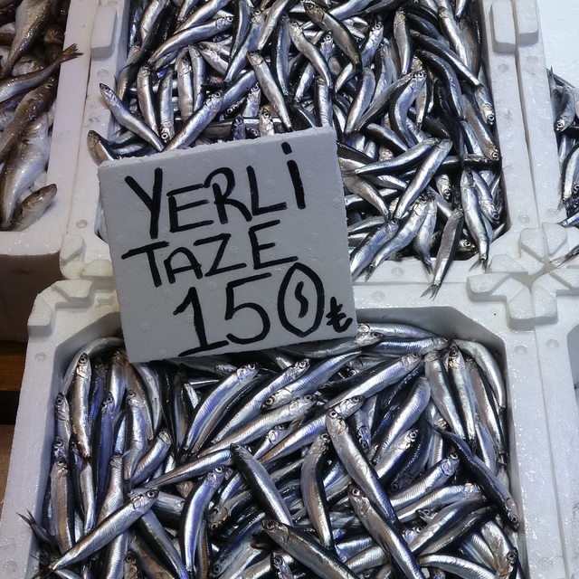 Hamsi bu defa şaşırttı: Tezgahlar yeniden şenlendi
Yaklaşık bir buçuk aydır...