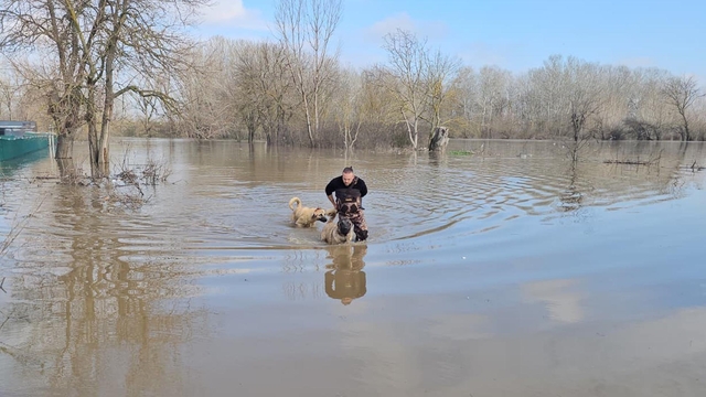 Meriç Nehri'nde su seviyesi arttı; DSİ 'turuncu alarm' uyarısında bulundu (2)
