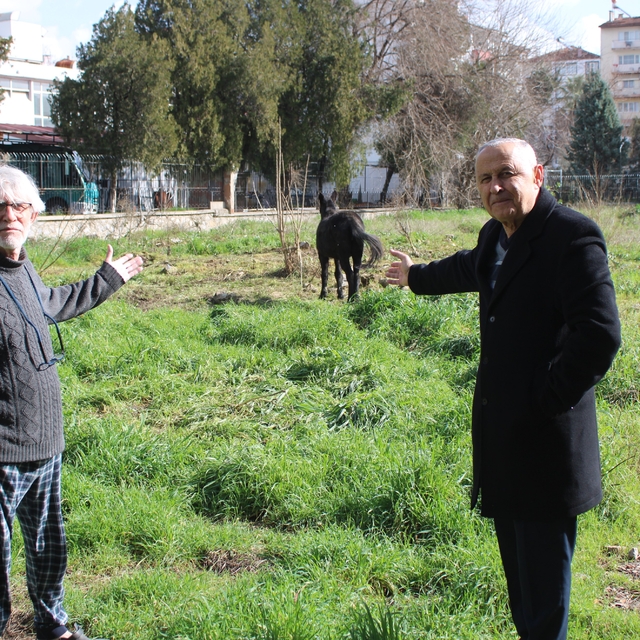 Sahipleri ölüme terk etti, resmi kurumlar topu birbirine attı
Yağmurda ısla...