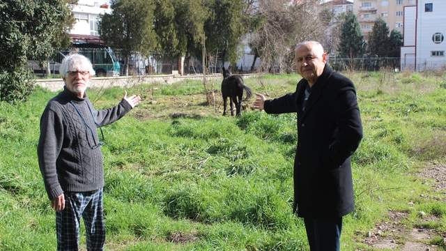Sahipleri ölüme terk etti, resmi kurumlar topu birbirine attı
Yağmurda ıslanan bağlı haldeki katırlar ölüme terk edildi