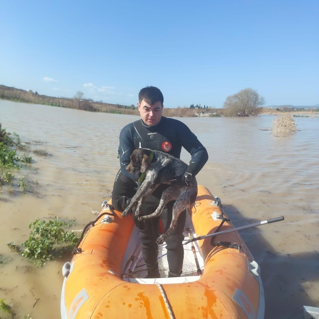 Büyükşehir ekiplerinin özverili çabası: Mahsur kalan hayvanlar kurtarıldı
İ...