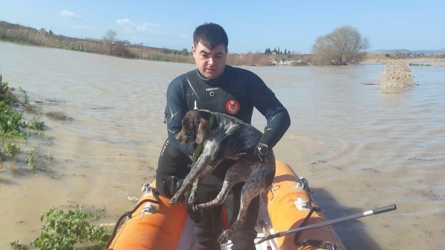 Büyükşehir ekiplerinin özverili çabası: Mahsur kalan hayvanlar kurtarıldı
İzmir'de umut dolu anlar