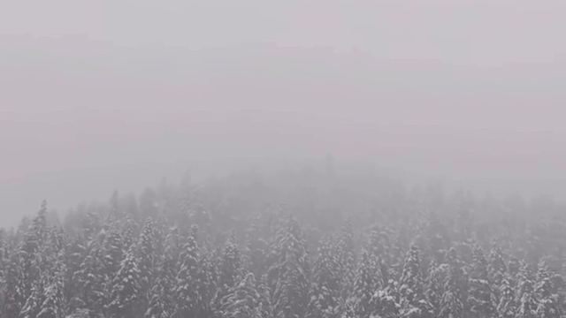 Ilgaz Dağı'nda kar yağışı etkili oldu