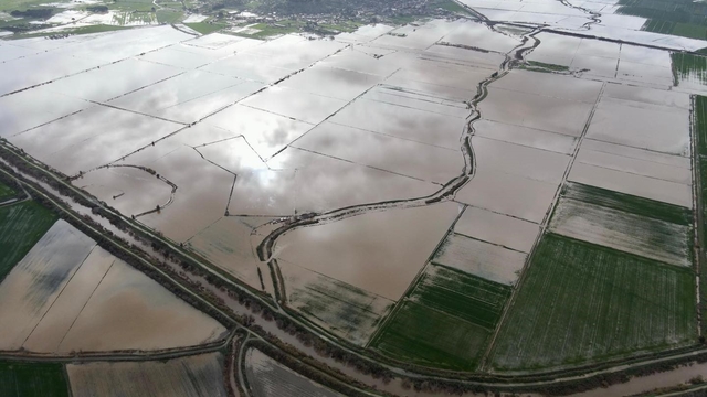 Büyük Menderes'te su seviyesi en yüksek seviyeye ulaştı