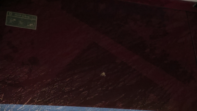 Trabzonspor: "Sporcularımızın ve teknik heyetimizin can güvenliği açık şekilde tehdit altındadır"